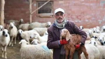 Aydın Battal G&ouml;n&uuml;l Dağı Dizisine Katıldı
