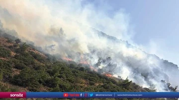 Aydın'da makilik ve zeytinlik alanda yangın &ccedil;ıktı (2)