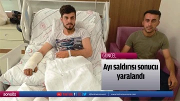 Ayı saldırısı sonucu yaralandı
