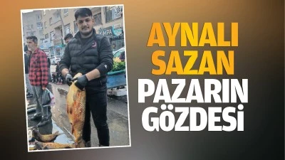 Aynalı sazan, pazarın g&ouml;zdesi&hellip;