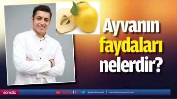 Ayvanın faydaları nelerdir?