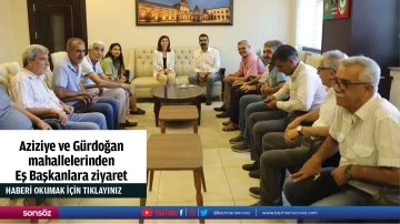 Aziziye ve G&uuml;rdoğan mahallelerinden Eş Başkanlara ziyaret