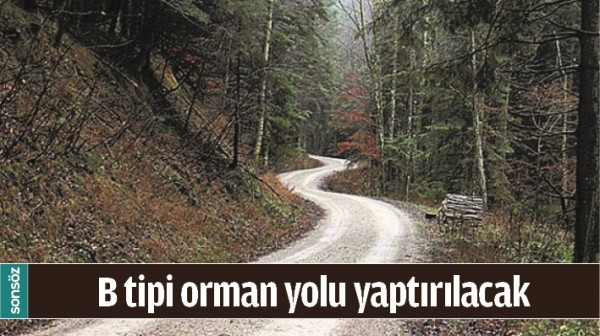 B TİPİ ORMAN YOLU YAPTIRILACAK 