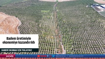 Badem &uuml;retimiyle ekonomiye kazandırıldı