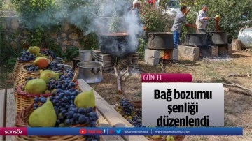 Bağ bozumu şenliği d&uuml;zenlendi