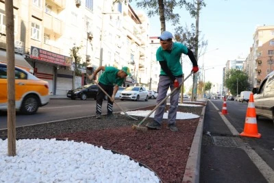 Bağlar&rsquo;daki peyzaj &ccedil;alışmaları tamamlandı