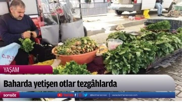 Baharda yetişen otlar tezg&acirc;hlarda