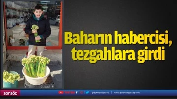Baharın habercisi, tezgahlara girdi
