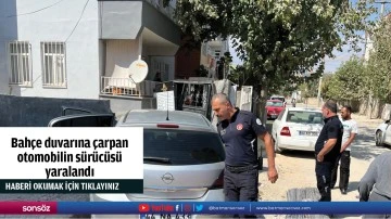 Bah&ccedil;e duvarına &ccedil;arpan otomobilin s&uuml;r&uuml;c&uuml;s&uuml; yaralandı