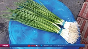 Bah&ccedil;esinde yetiştirdiği yeşil soğanı pazarda satıyor