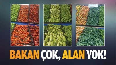 Bakan &ccedil;ok, alan yok!