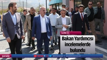 Bakan Yardımcısı incelemelerde bulundu
