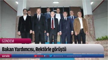 Bakan Yardımcısı, Rekt&ouml;rle g&ouml;r&uuml;şt&uuml;