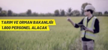 Bakanlık 1800 s&ouml;zleşmeli personel alacak