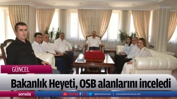 Bakanlık Heyeti, OSB alanlarını inceledi