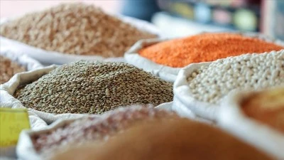 Bakliyat, yağlı tohumlar ihracatı 10 ayda 10 milyar doları aştı