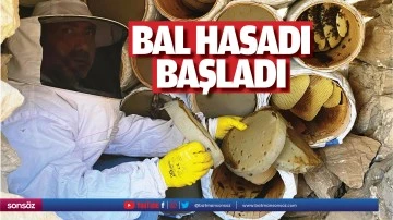 Bal hasadı başladı