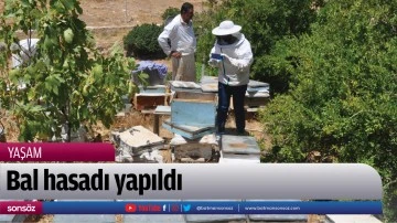 Bal hasadı yapıldı