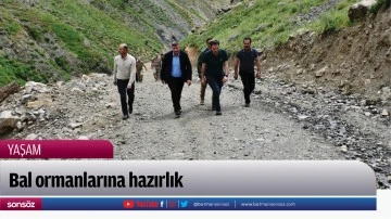 Bal ormanlarına hazırlık