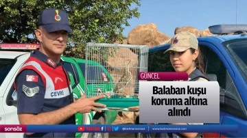 Balaban kuşu koruma altına alındı