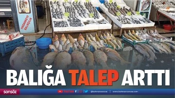 Balığa talep arttı