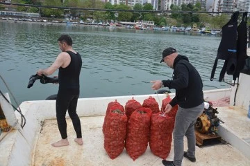  Balık avı yasağı d&ouml;neminde salyangoza y&ouml;nelen balık&ccedil;ıların mesaisi başladı