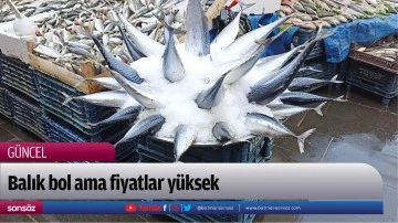 Balık bol ama fiyatlar y&uuml;ksek