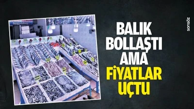 Balık bollaştı ama fiyatlar u&ccedil;tu