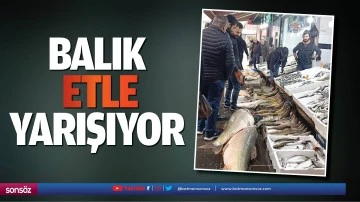 Balık, etle yarışıyor