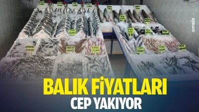 Balık fiyatları cep yakıyor