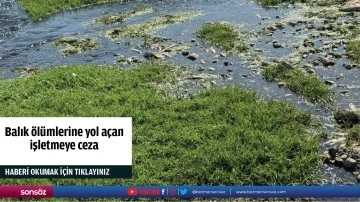 Balık &ouml;l&uuml;mlerine yol a&ccedil;an işletmeye ceza