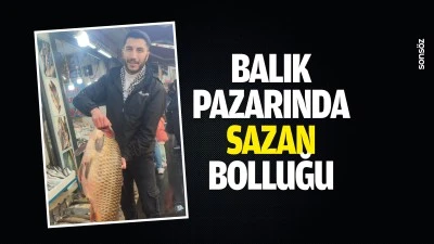 Balık pazarında sazan bolluğu