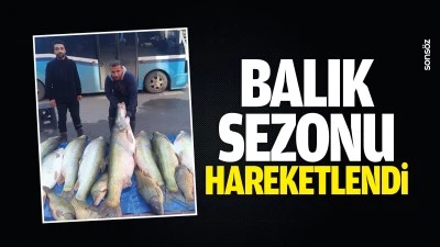 Balık sezonu hareketlendi