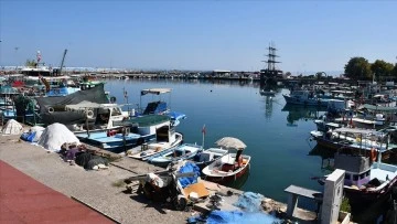 Balık&ccedil;ının umudu palamutta
