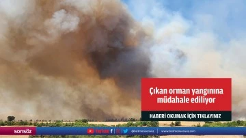 Balıkesir'de &ccedil;ıkan orman yangınına m&uuml;dahale ediliyor