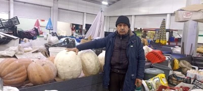 Balkabağı, satışa &ccedil;ıktı