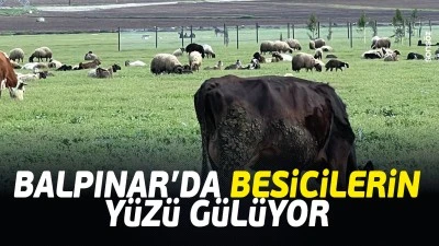 Balpınar&rsquo;da besicilerin y&uuml;z&uuml; g&uuml;l&uuml;yor