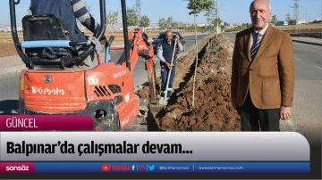 Balpınar&rsquo;da &ccedil;alışmalar devam...