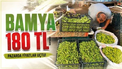 Bamya 180 TL
