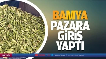 Bamya pazara giriş yaptı