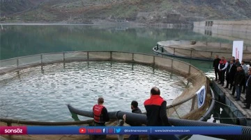 Baraj G&ouml;l&uuml;'ne 75 bin yavru balık bırakıldı