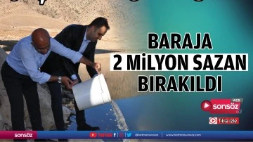 Baraja 2 milyon sazan bırakıldı