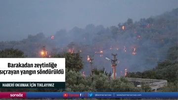  Barakadan zeytinliğe  sı&ccedil;rayan yangın s&ouml;nd&uuml;r&uuml;ld&uuml;
