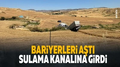 Bariyerleri aştı, sulama kanalına girdi