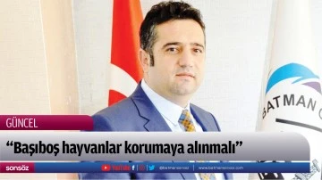 &ldquo;Başıboş hayvanlar korumaya alınmalı&rdquo;