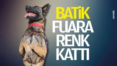 Batik, fuara renk kattı