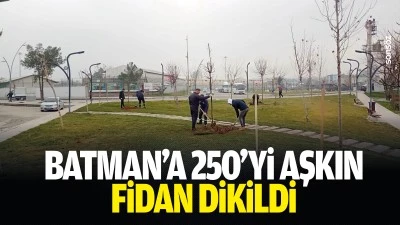 Batman&rsquo;a 250&rsquo;yi aşkın fidan ikildi