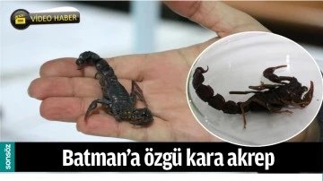 BATMAN&rsquo;A &Ouml;ZG&Uuml; KARA AKREP