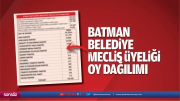 Batman Belediye Meclis &Uuml;yeliği oy dağılımı 