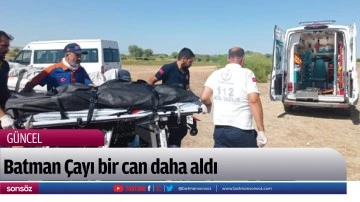Batman &Ccedil;ayı bir can daha aldı
